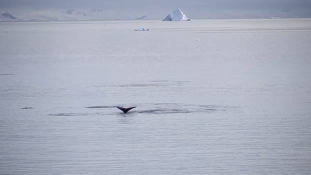 FOTO Par iz Dalmacije motorima obišao cijelu Južnu Ameriku: Pogledajte te prirodne ljepote!