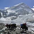 Ledenjaci na Himalaji se tope, katastrofa prijeti trećini svijeta