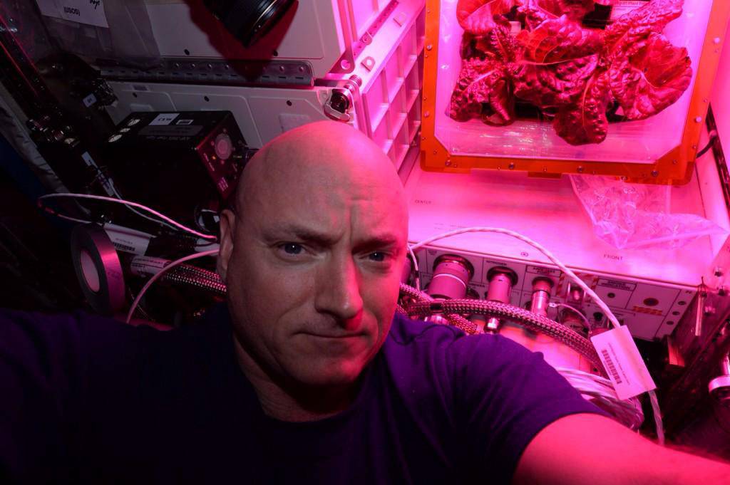 Scott Kelly/Twitter