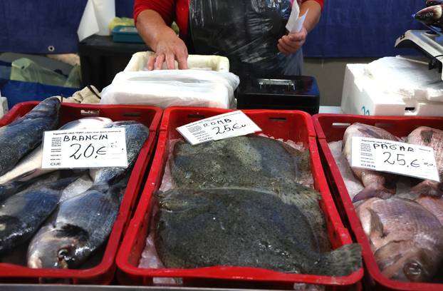 Šibenik: Ponuda ribe na šibenskoj ribarnici