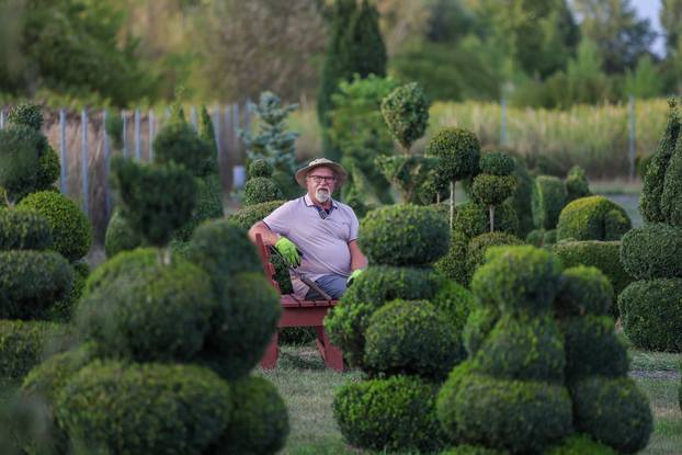 Bajkoviti vrt u srcu Međimurja: Prvi i jedini Topiary park u Hrvatskoj krije se u Sračincu