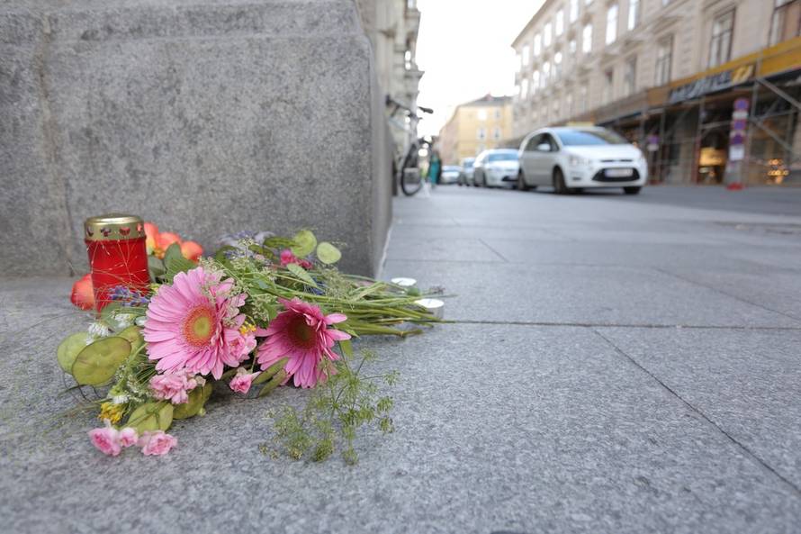 Tomislav Miletić/PIXSELL