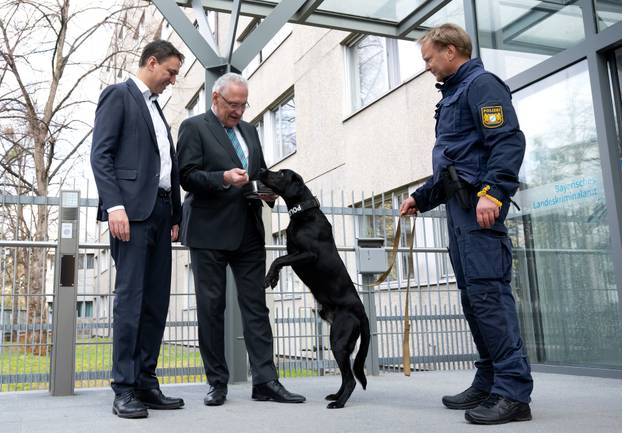 Muenchen: Otkrivena golema pedofilska mreža Kidflix