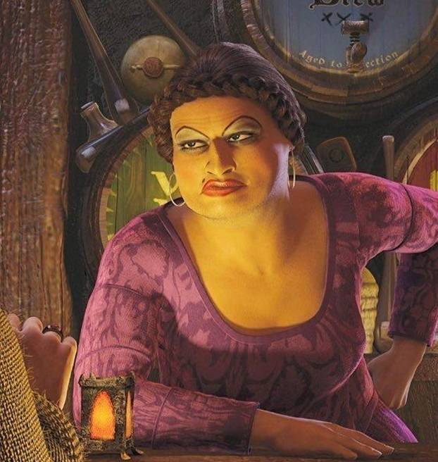 FOTO Seksi Mira oblači se u lika iz Shreka. Mjesečno zaradi više od 36.000 €. Evo o čemu se radi