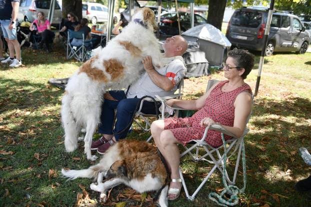 Nacionalna izložba pasa "Velika Gorica Trophy 2025"