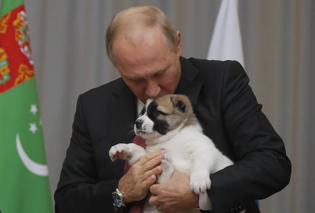 Russian President Putin kisses a Turkmen shepherd dog presented by Turkmenistan