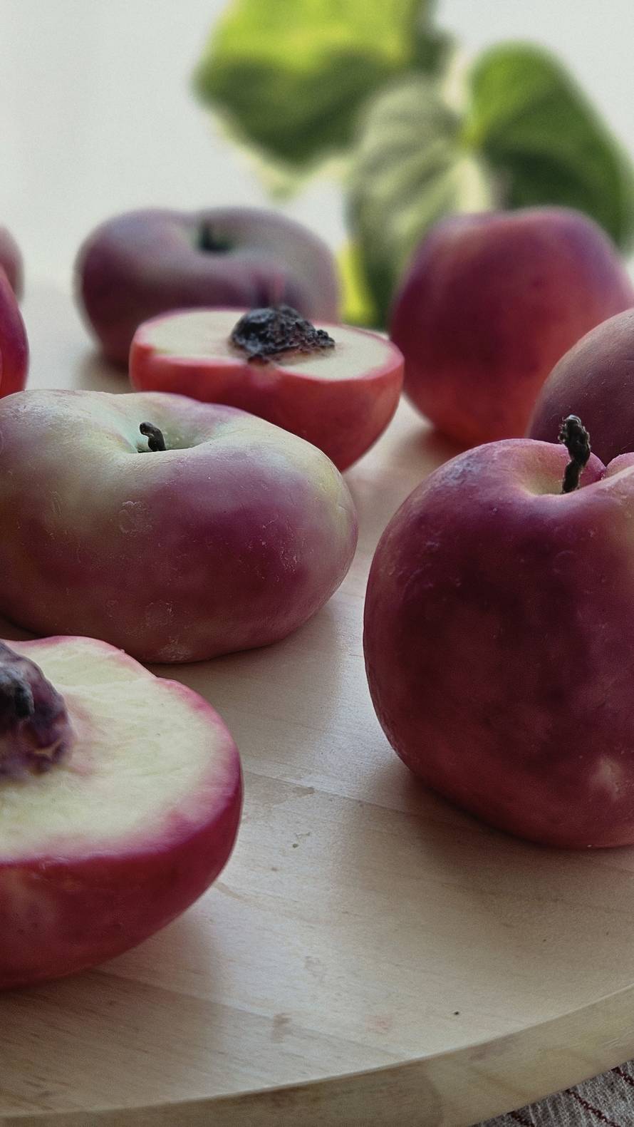 Kristina iz Vinkovaca pretvara vosak u savršeno realistične voćke: 'Ljudi ih obožavaju'