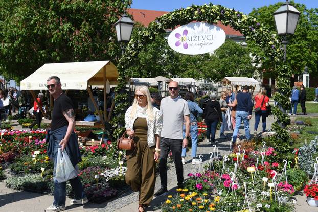 Obilježavanje Dana grada Križevaca uljepšano je cvjetnom manifestacijom "Križevci u cvijeću"