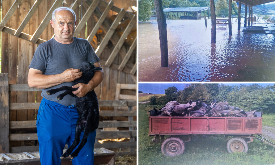 Tuga farmera kraj Đakova: 'Lani je došla poplava u lipnju i ubila mi janjce, ove godine ista priča'