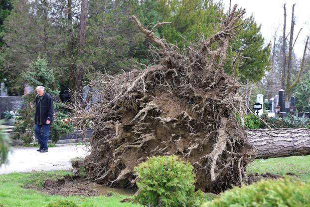 Zagreb: Posljedice velikog nevremena na Mirogoju