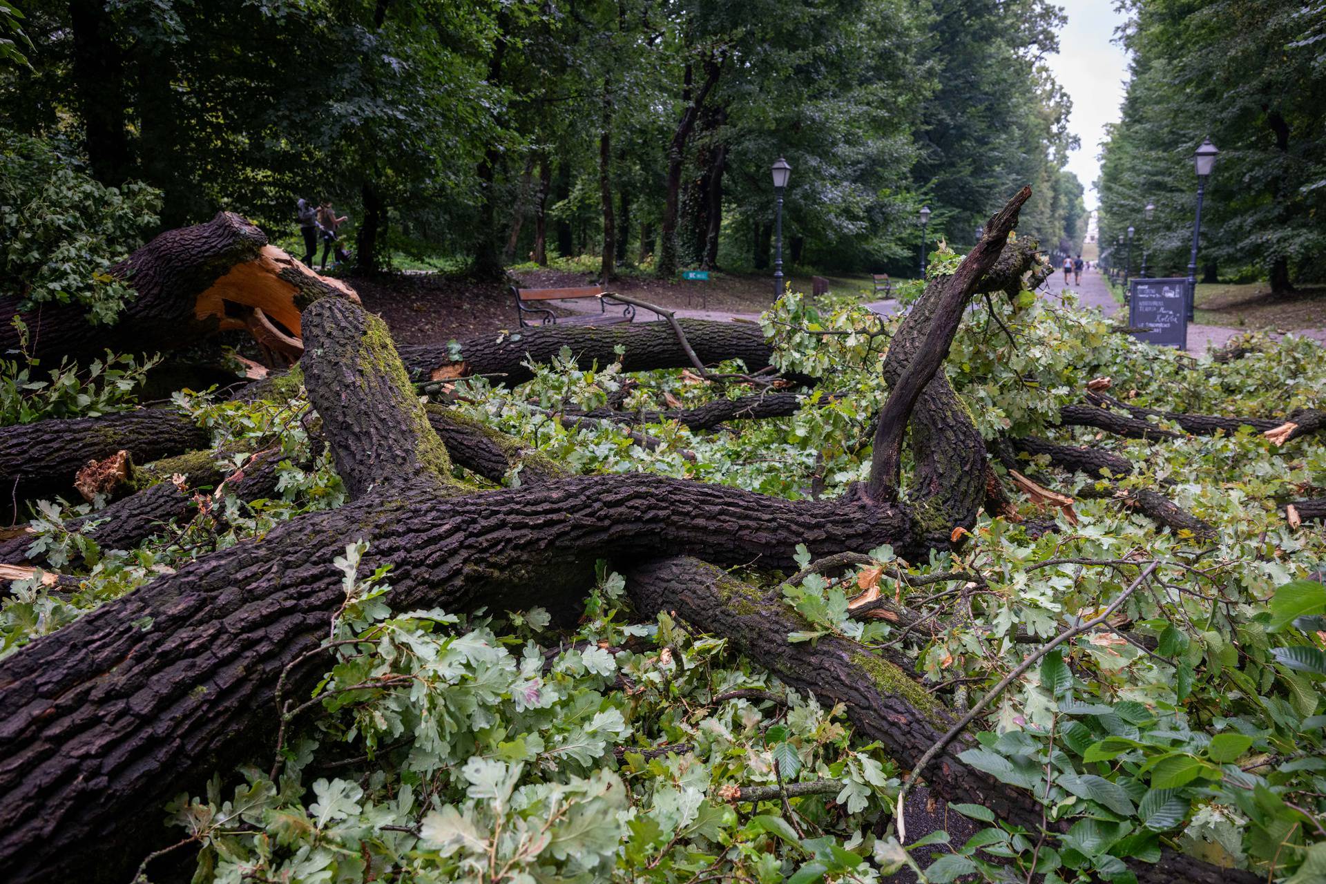 Zagreb: Posljedice noćašnjeg nevremena u parku Maksimir