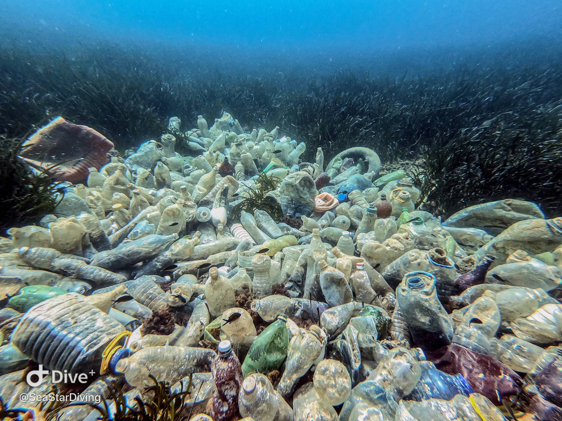 Dramatični prizori: Podmorje nam ubija plastika iz susjedstva