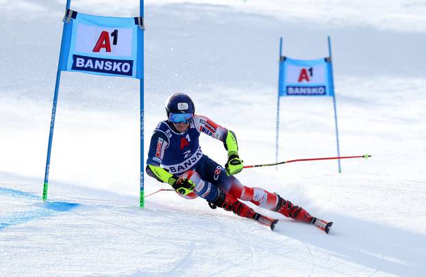 FIS Alpine Ski World Cup - Men's Giant Slalom