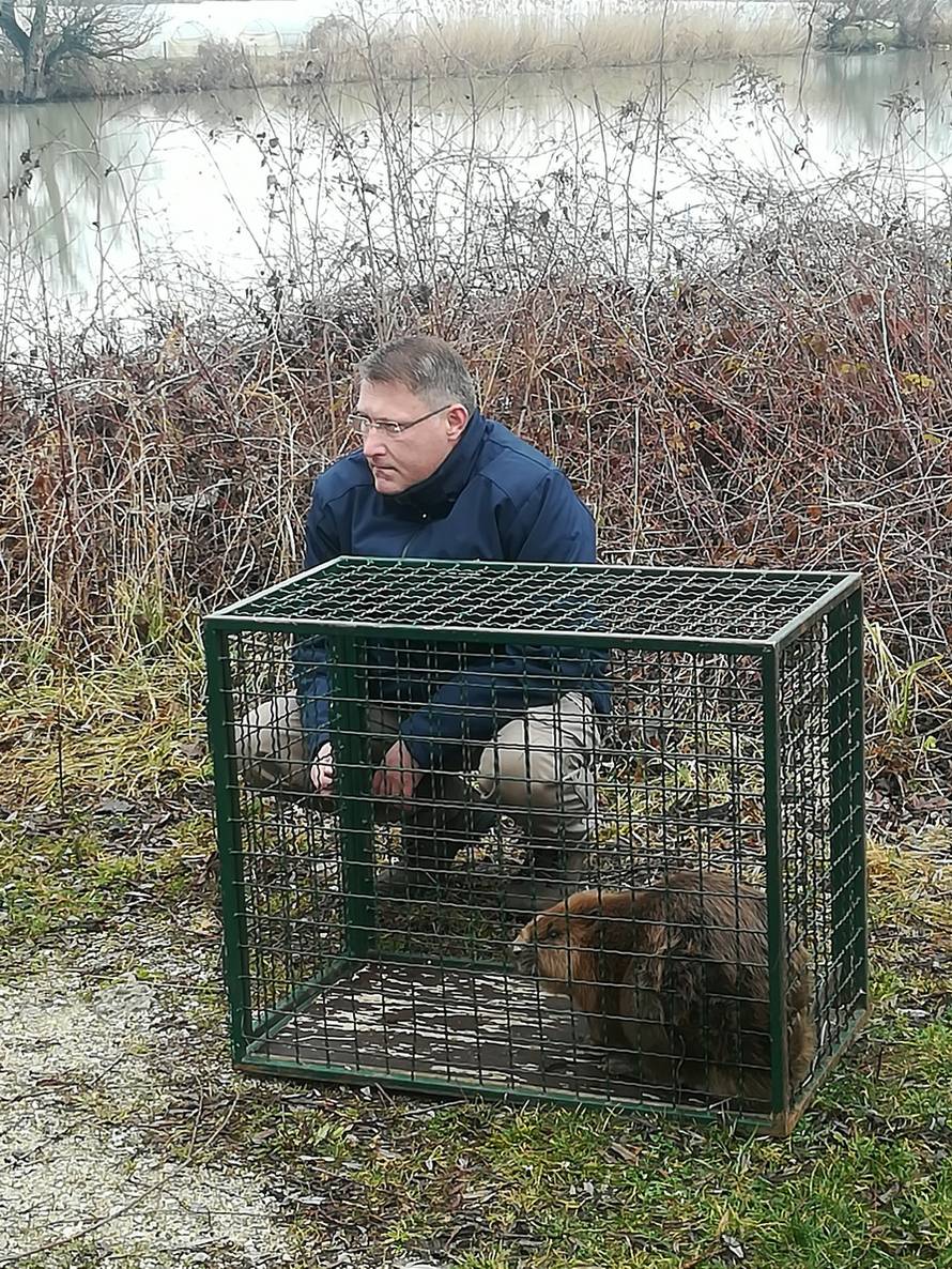 Heroji zagrebačkog zoološkog: Ove bebe spasili u zadnji tren...