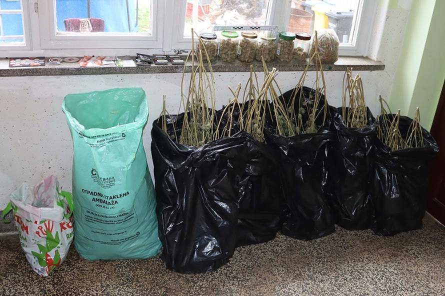 Otkrili plantažu za uzgoj trave kod Varaždina, zaplijenili 7 kila marihuane i uhitili četvorku