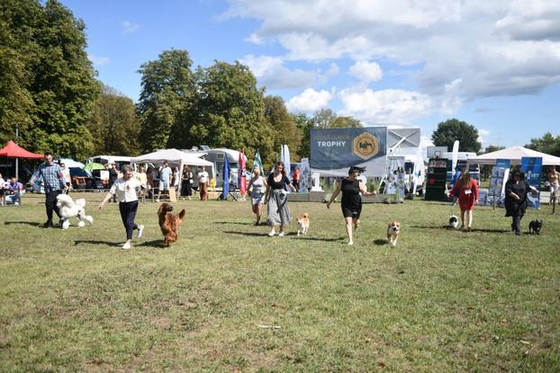 Nacionalna izložba pasa "Velika Gorica Trophy 2025"