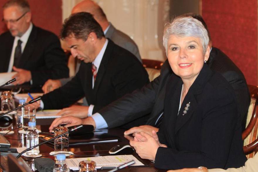 Željko Lukunić/PIXSELL