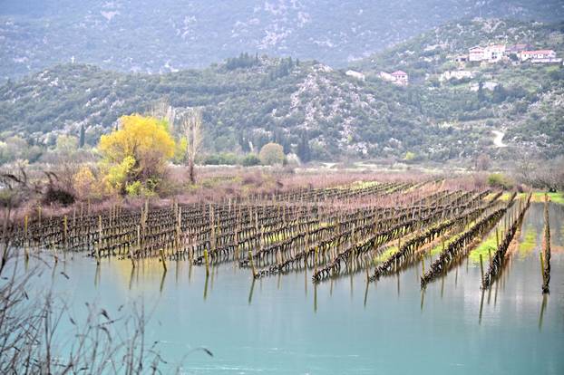 Vrgorac: Poplavljeno Polje jezero uslijed obilnih kiša