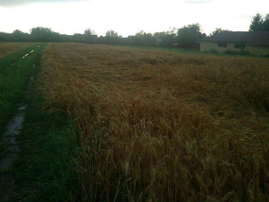 Nevrijeme rušilo stabla, nosilo krovove, kiša poplavila ulice