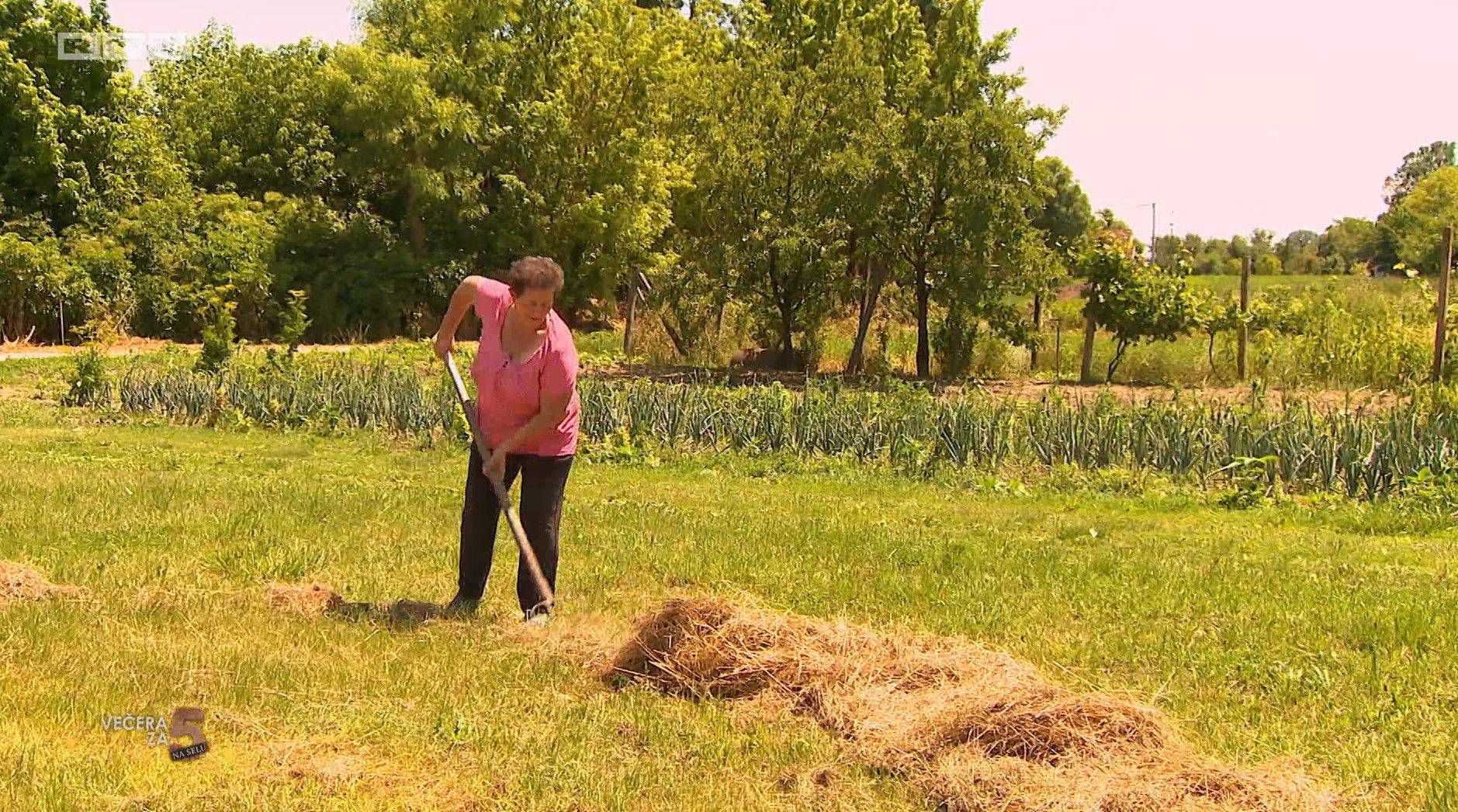 Ruža razočarala, kandidati su najbolje ocijenili jela jedinog muškarca u vinkovačkom tjednu