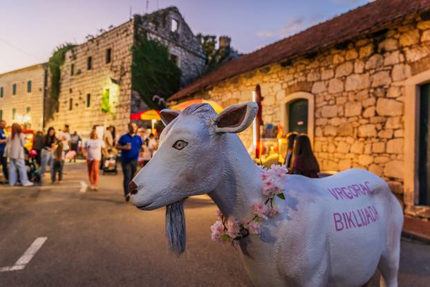 Vrgorac:  Održana 25 Biklijada napitak koji se pravi od Kozijeg Mlijeka i mladog Vina