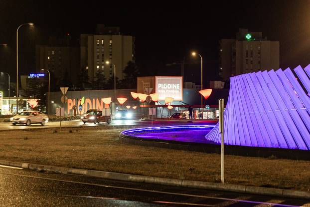 Pulski rotor svijetli ljubičasto povodom Dana epilepsije