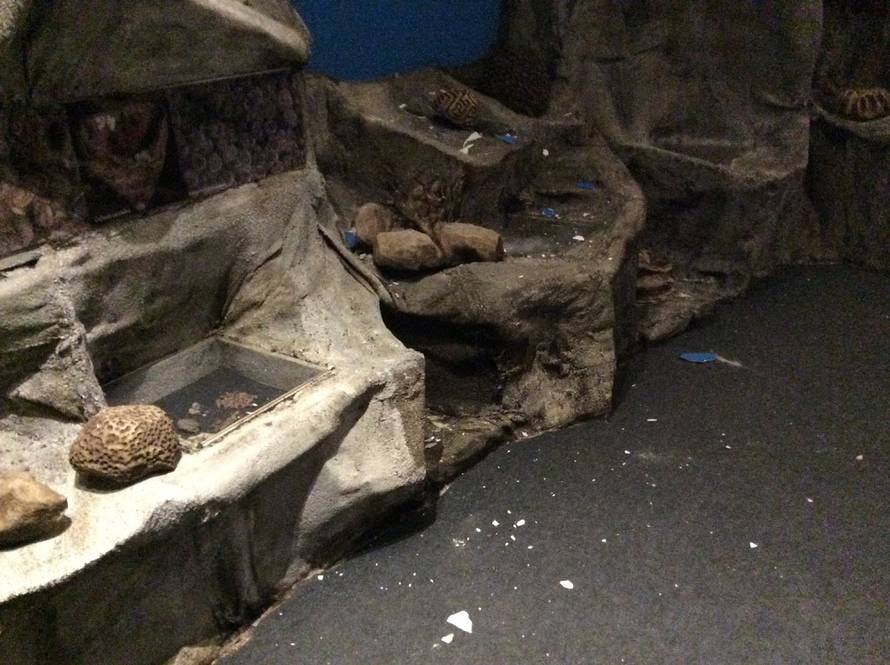 Hrvatski prirodoslovni muzej teško je stradao u potresu