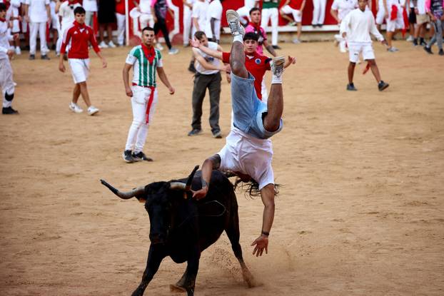 Pamplona's San Fermin festival