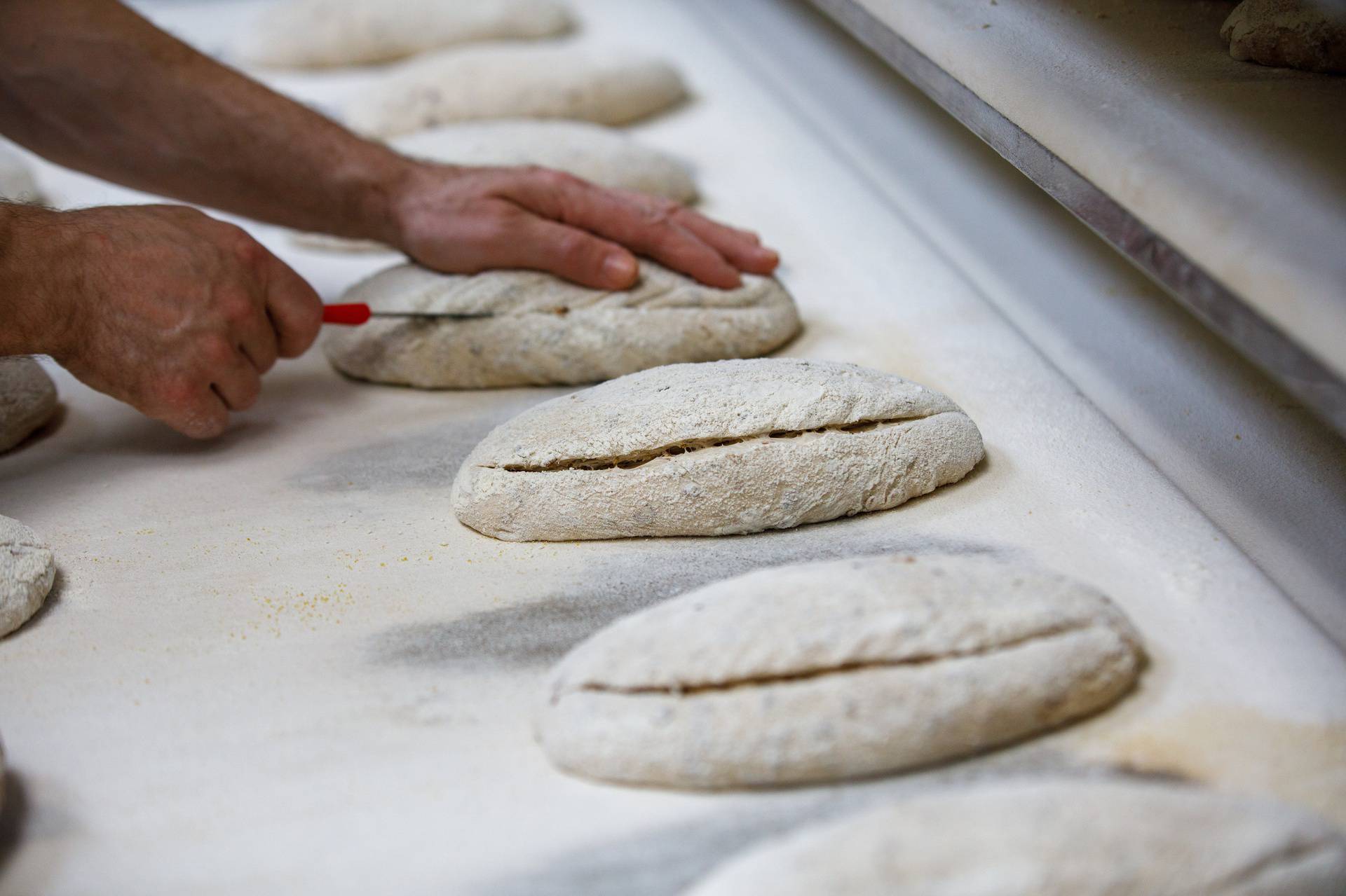 Osijek, 23.02.2024 - Proizvodnja sourdough kruha u Mlinarovoj proizvodnji u Osijeku