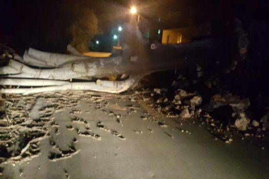 Olujna noć u Dubrovniku: Bura puhala 150 km/h i rušila stabla