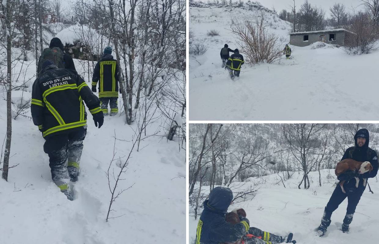 Satima se probijali kroz snijeg da spase pse na Dinari: 'Na rukama smo ih nosili vlasniku'