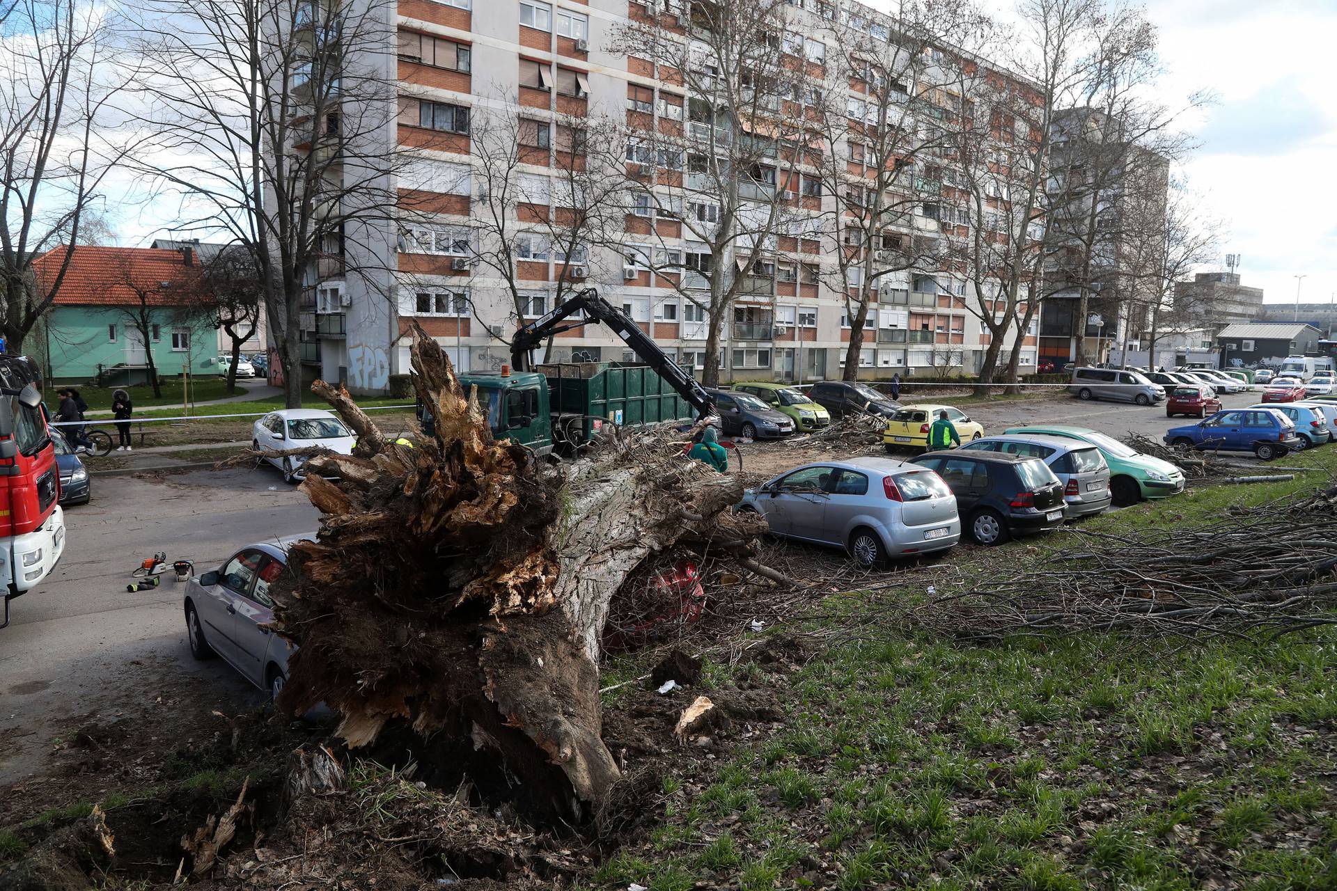 Zagreb: Vjetar srušio stablo jablana, oštećeno više automobila