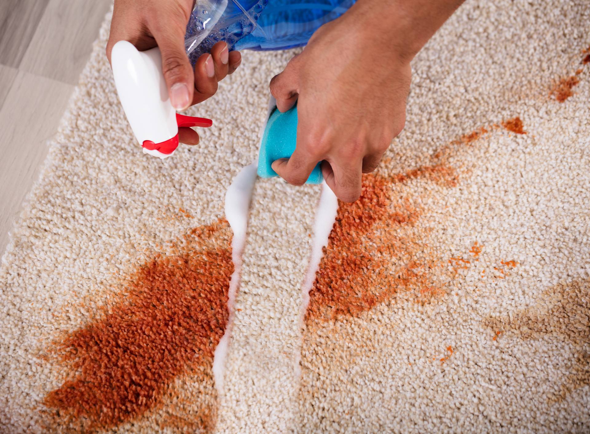 Janitor Cleaning Stain On Carpet