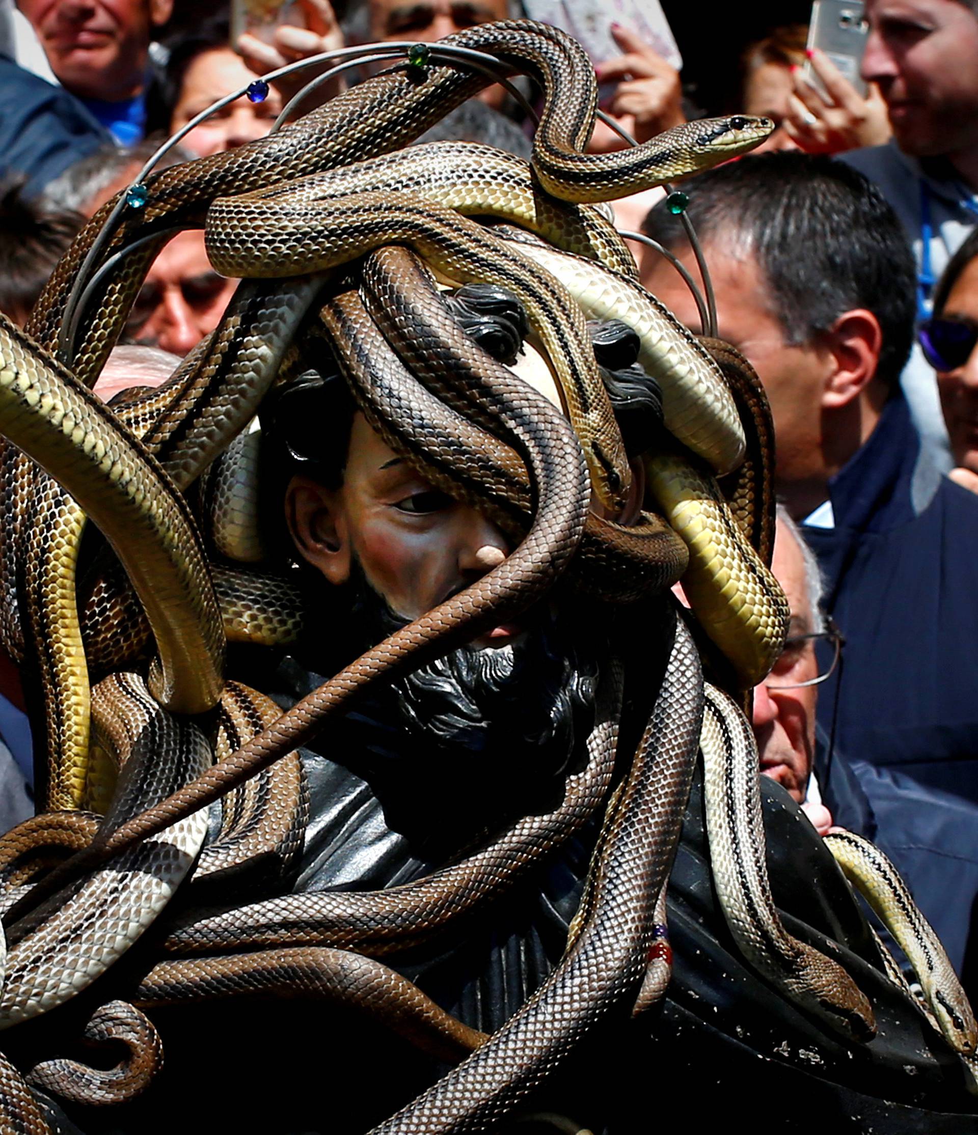 Snakes cover a wooden statue of Saint Domenico during a procession in Cocullo