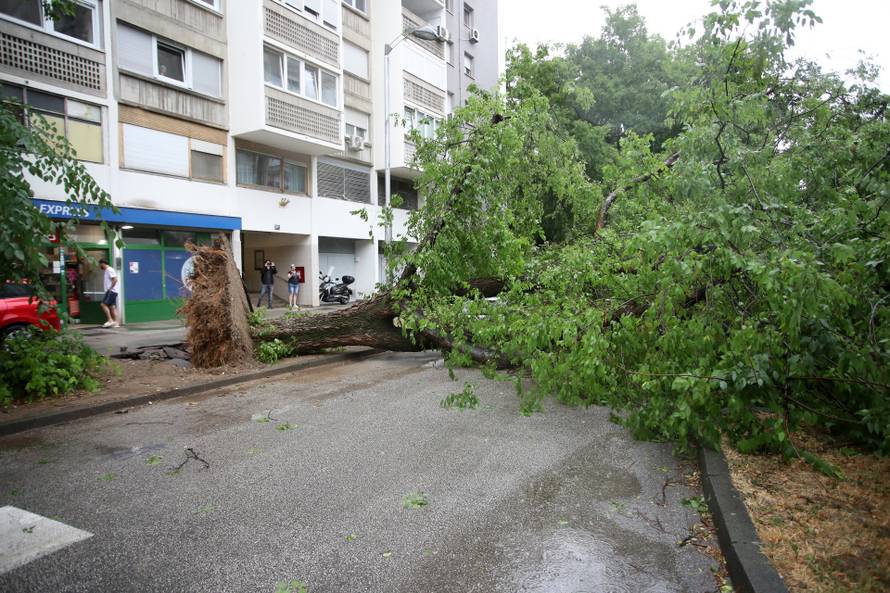 Zagreb: Na četiri automobila srušilo se stablo tijekom nevremena