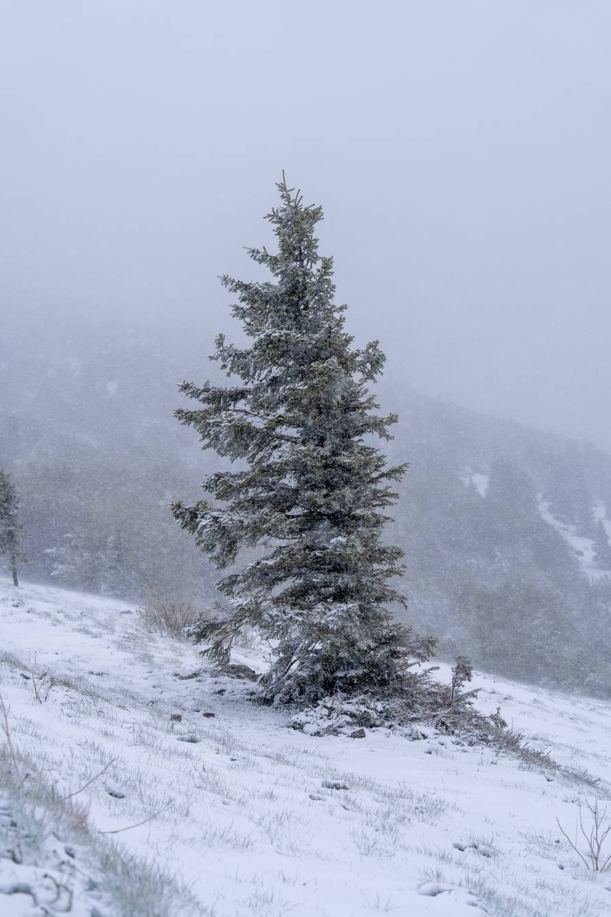 Zavižan: Snijeg pao u Nacionalnom parku Sjeverni Velebit