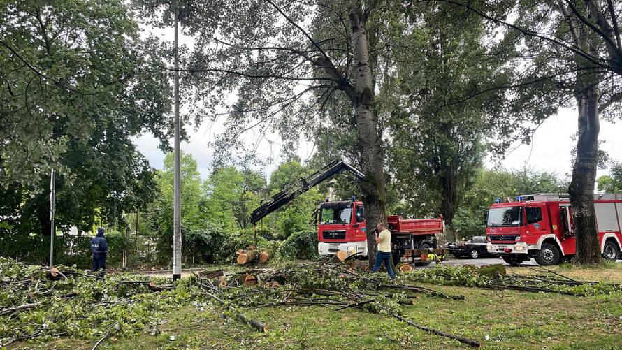 24sata uživo iz Zagreba: Oluja pogodila grad! Ovo je ogromno drvo koje je zdrobilo automobil