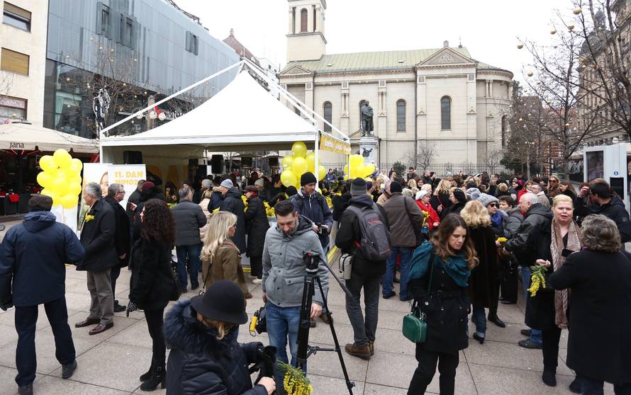 Dan mimoza: Intimno zdravlje žene krhko je poput cvijeta...