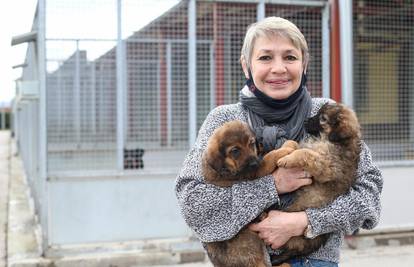 Došla iz Venezuele da spašava pse u Hrvatskoj: 'Moj san je da otvorim svoj hotel za pse'