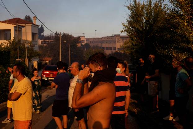 Wildfire in Kryoneri near Athens