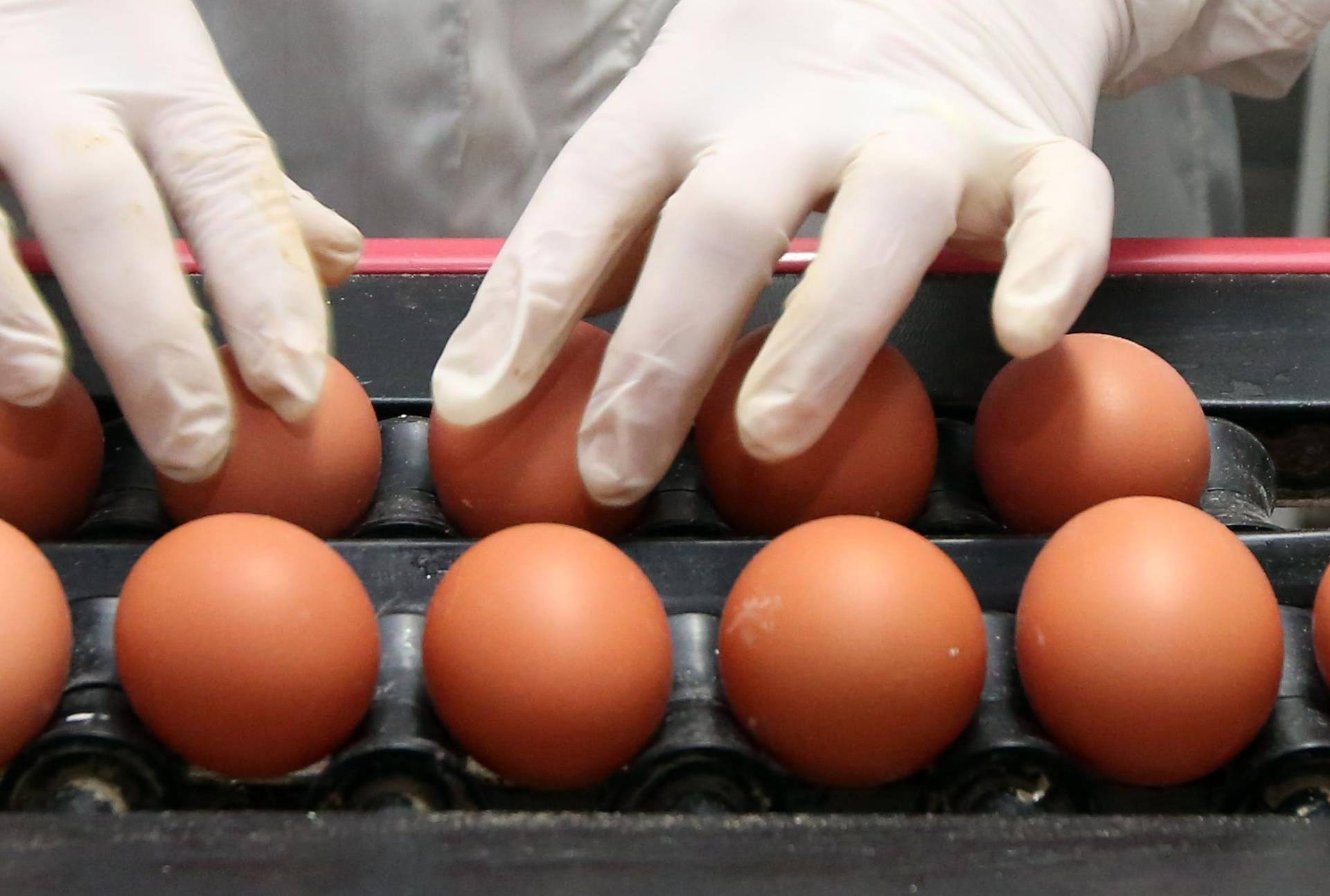 Nisu samo za Uskrs: Neka jaja koriste se za istraživanje gripe
