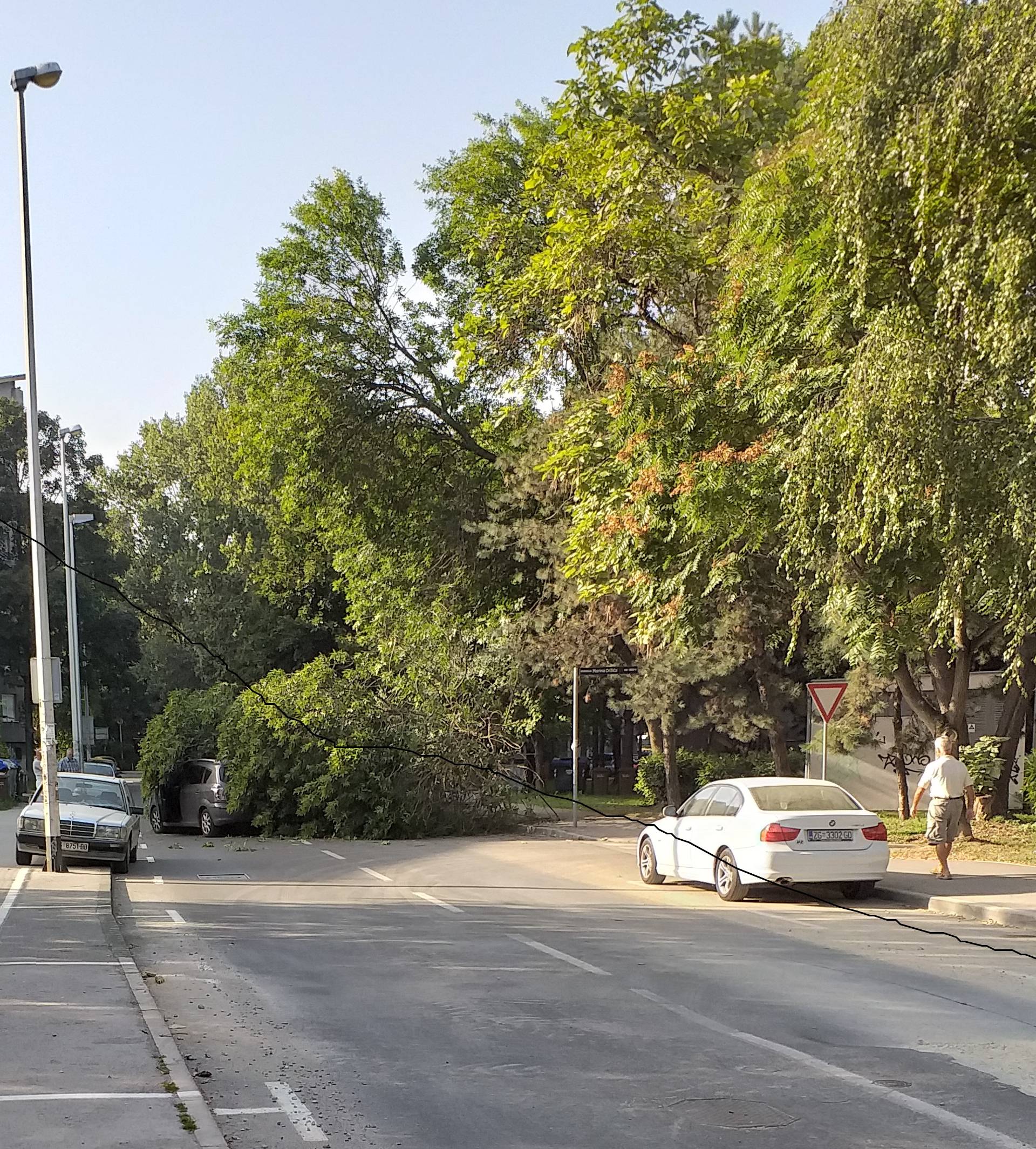 Velika grana pala je na auto u vožnji i razbila parkirani Smart