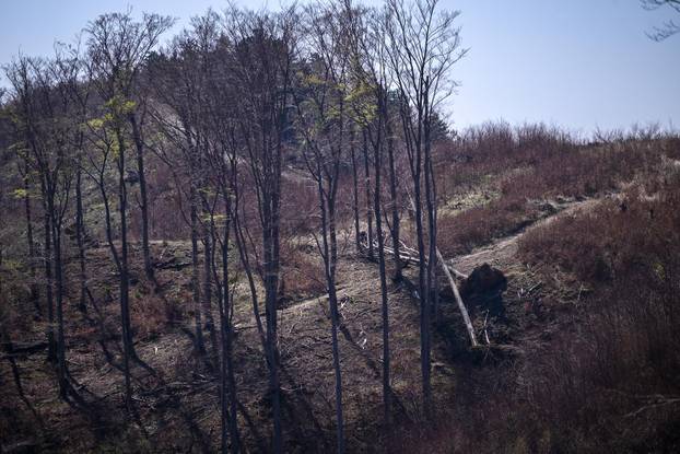 Zagreb: Posljedice olujnog nevremena na Sljemenu