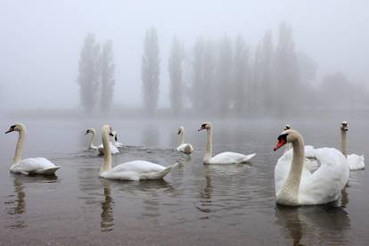 Magla je ovih dana prekrila Hrvatsku: Pogledajte najljepše fotografije mističnih prizora