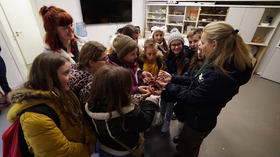 Božićno iznenađenje: Učenici iz Slavonije prvi put u Zoološkom