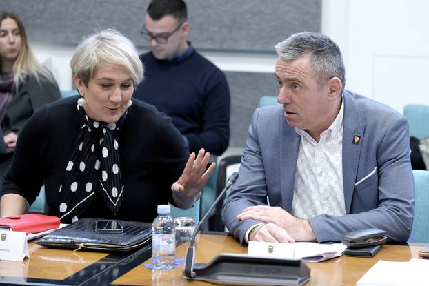 Zagreb: Odbor za pomorstvo o tematskoj jednici o nesre&cacute;i broda Lastovo