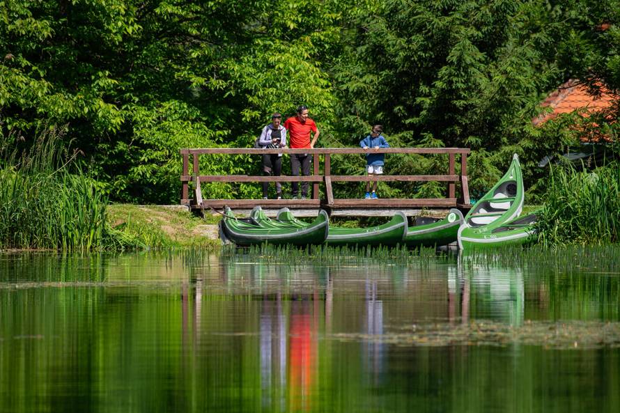 Mistična Papučka šuma – legende i neobjašnjive pojave