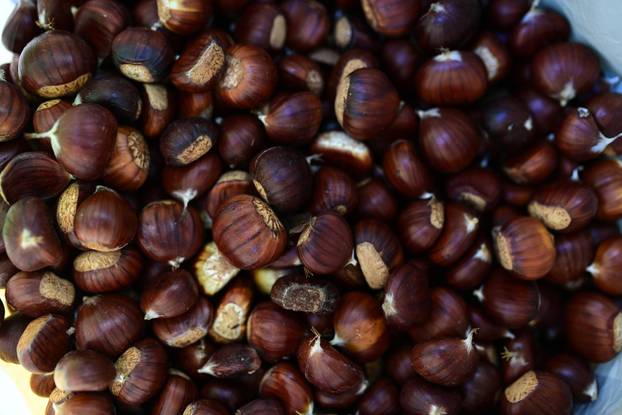 Počelo je ovogodišnje branje kestena na Žumberačkom gorju