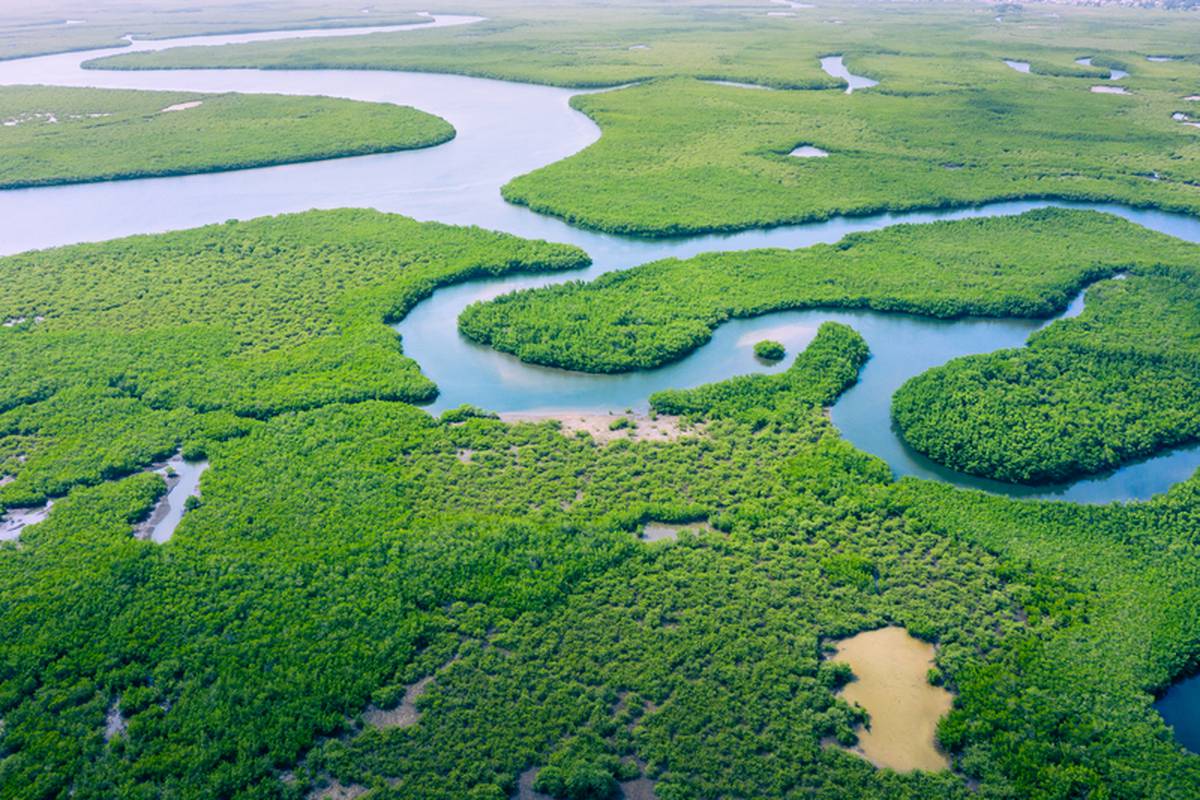 Krčenje prašuma u Amazoniji od 2008. poraslo na najvišu razinu
