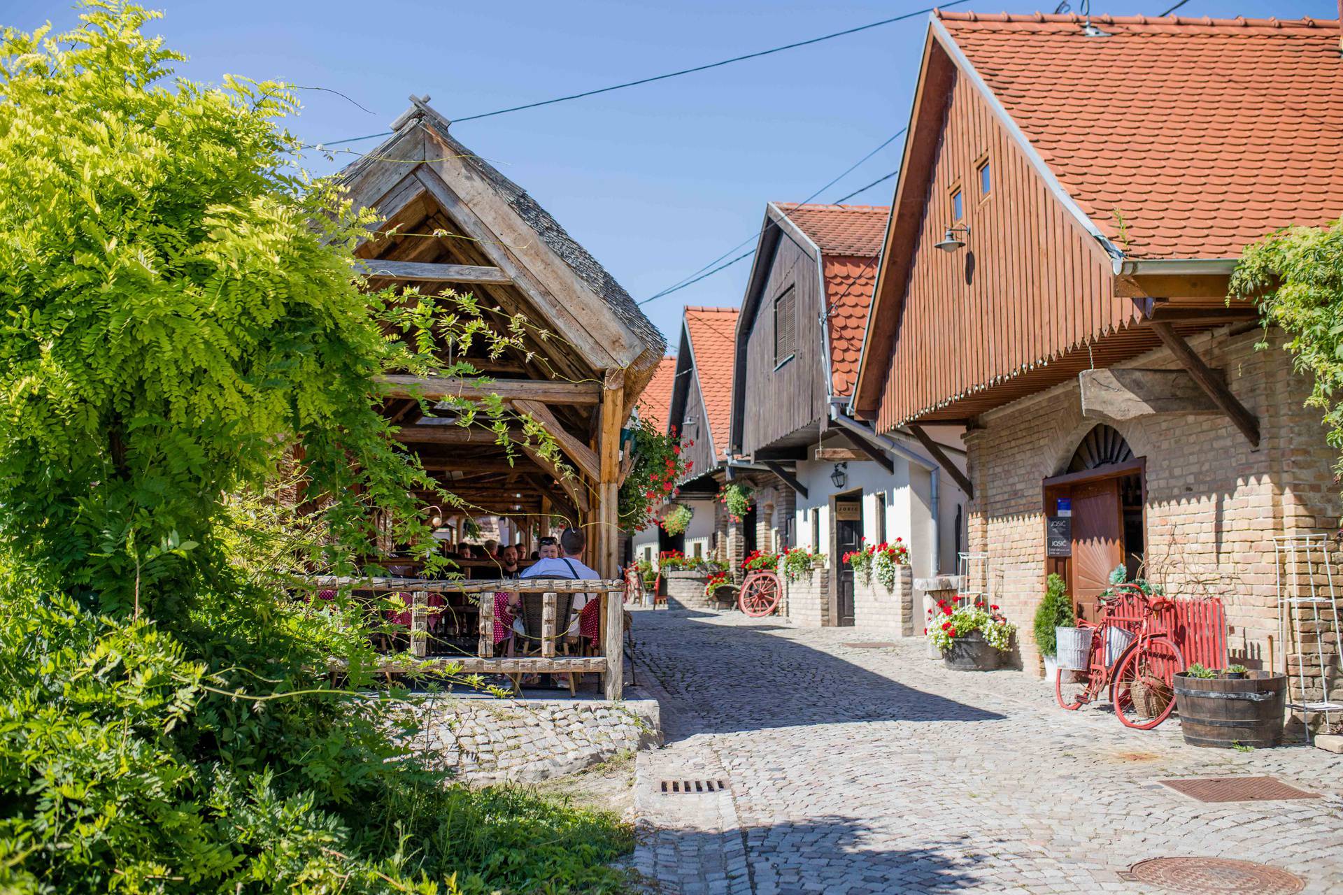 U naručju vinske majke Baranje